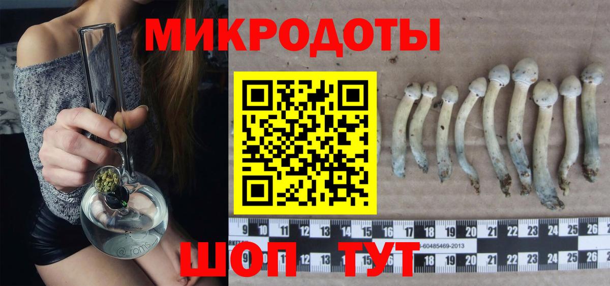 Екатеринбург  Галлюциногенные грибы Cubensis  Галлюциногенные грибы мицелий  Вход с VPN 