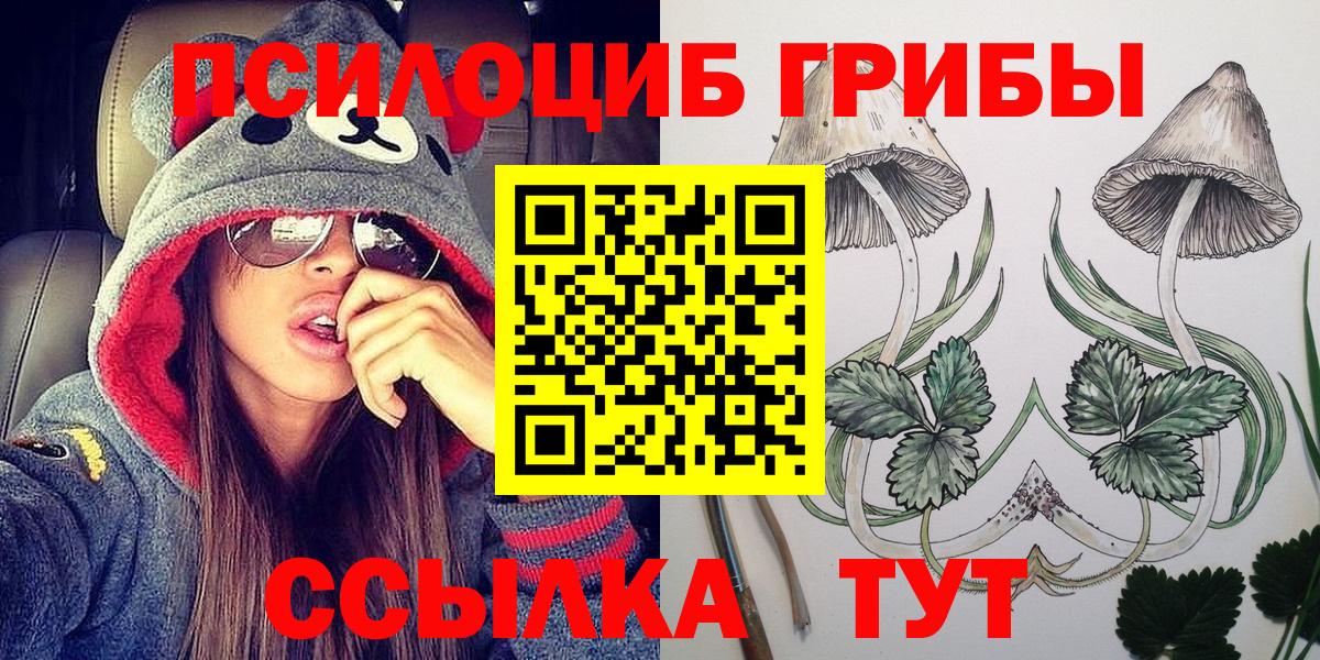 Галлюциногенные грибы Psilocybe Екатеринбург